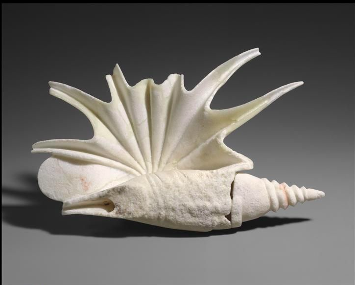 My Favourite Things: A Word in Your Shell-like – ARTMUSELONDON