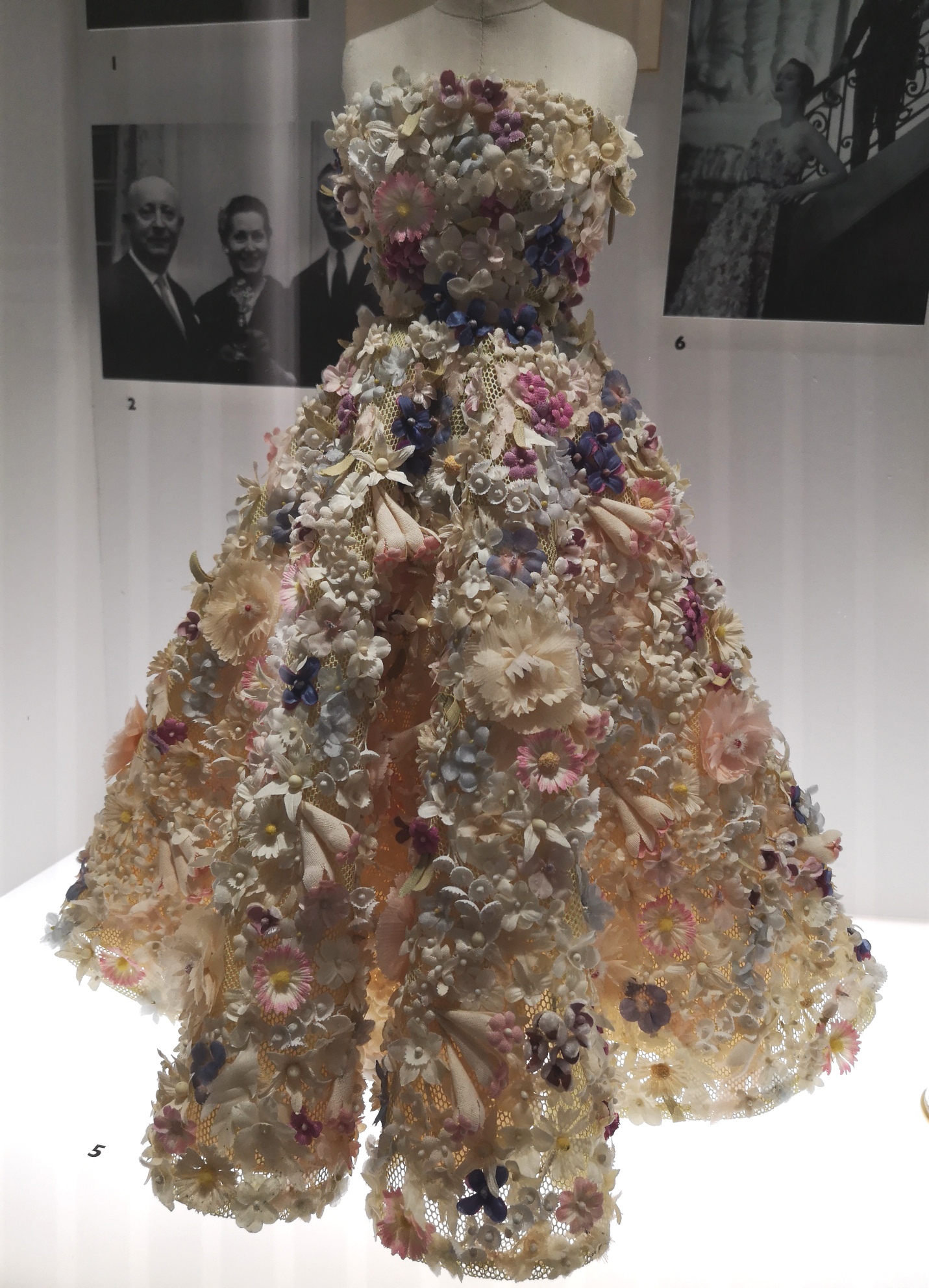 img_20190131_103109_resized_20190131_103143049